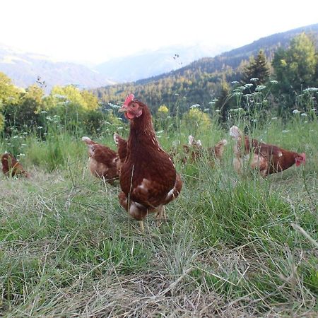 Appartement Stallfeldhof Hopfgarten im Brixental Kültér fotó